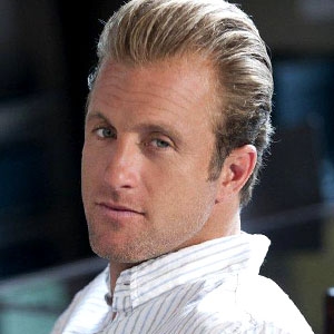 dorso escovado clássico