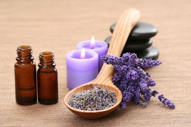 lavendel