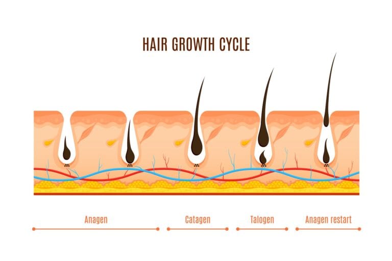 Will Shaving Make Hair Thicker? The Truth Behind Common Myths