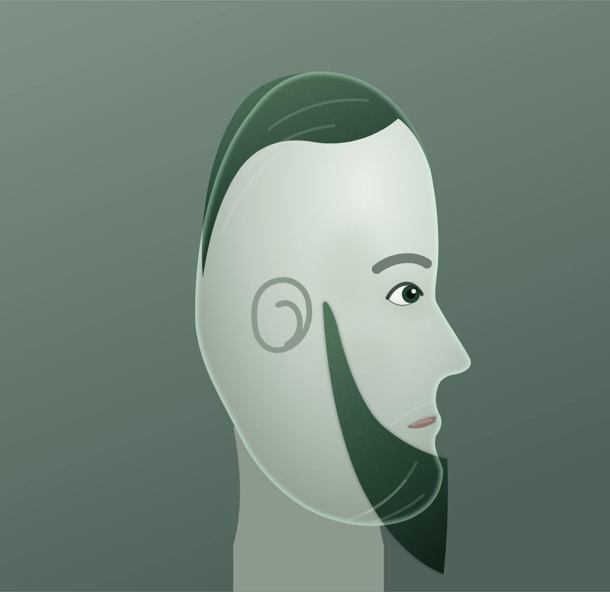 Profile diagram of the amish beard style, showing how far it runs back toward the ear.