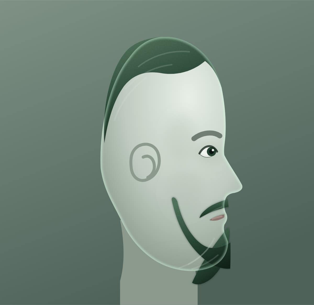 Profile diagram of the anchor beard style, showing how far it runs back toward the ear.