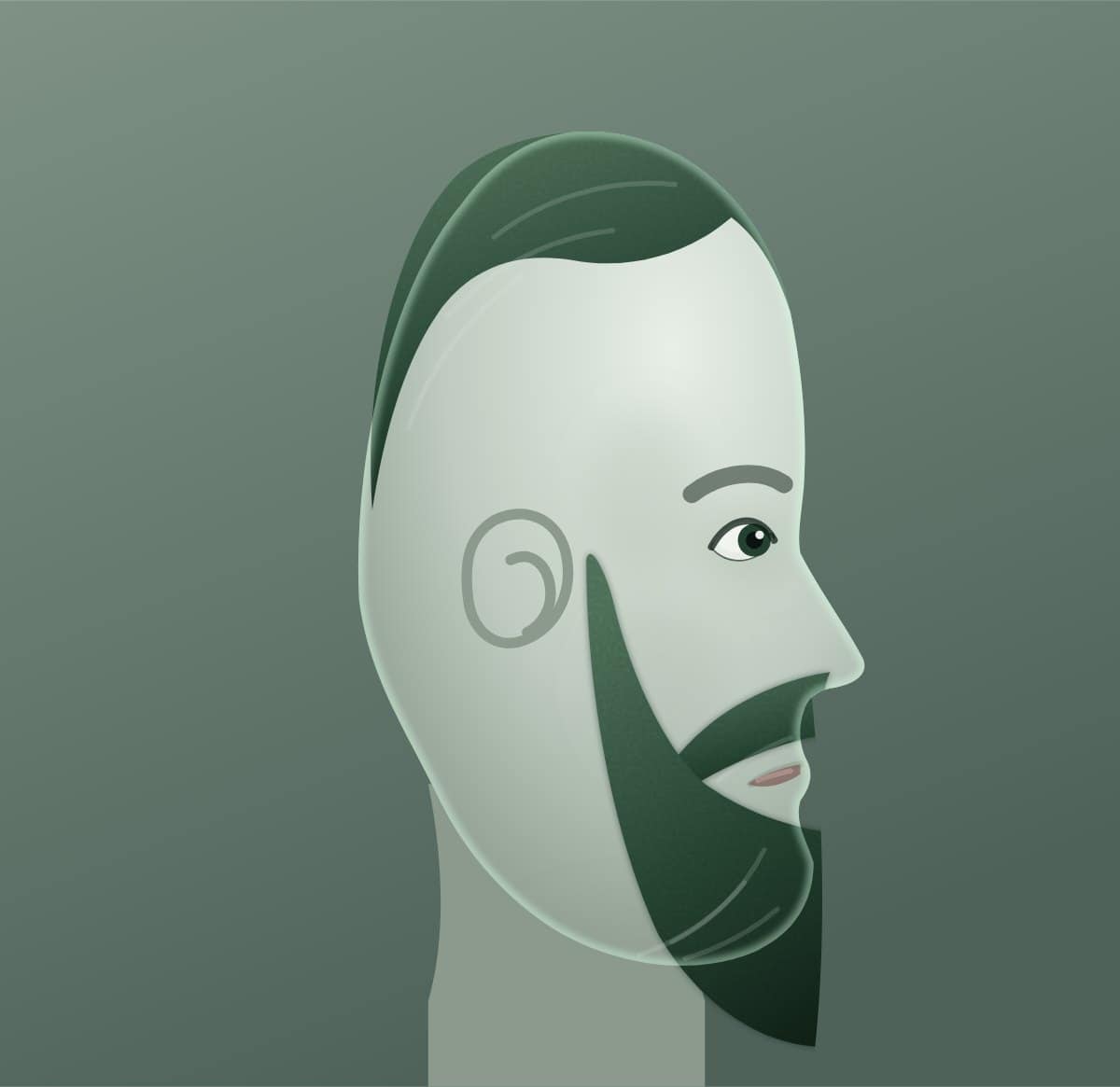 Profile diagram of the bandholz beard style, showing how far it runs back toward the ear.