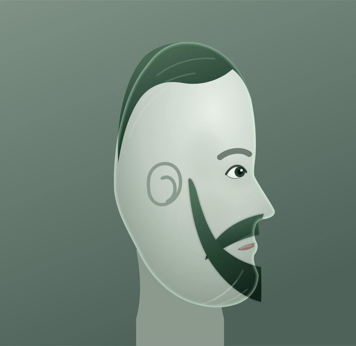 Profile diagram of the beardstache moustache style, showing how far it runs back toward the ear.
