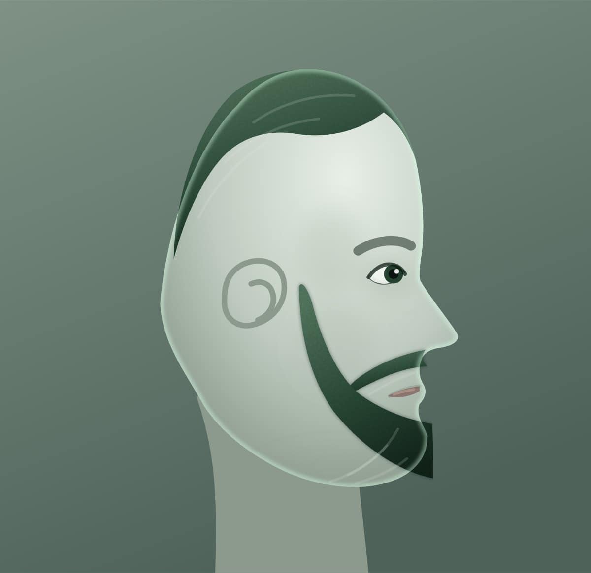 Profile diagram of the boxed beard style, showing how far it runs back toward the ear.