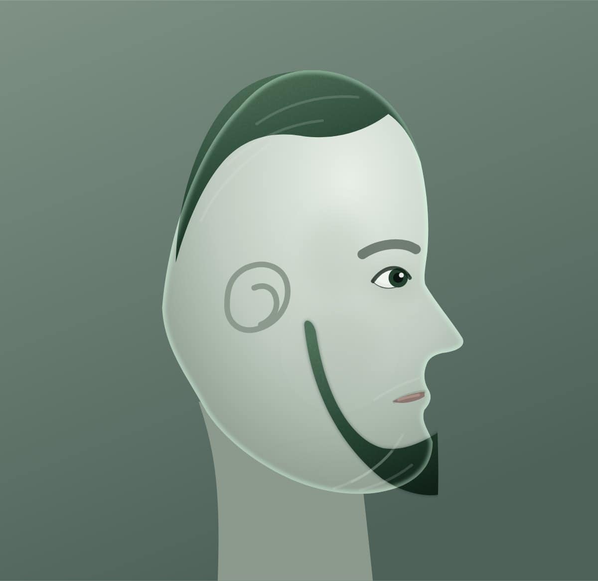 Profile diagram of the chin curtain beard style, showing how far it runs back toward the ear.