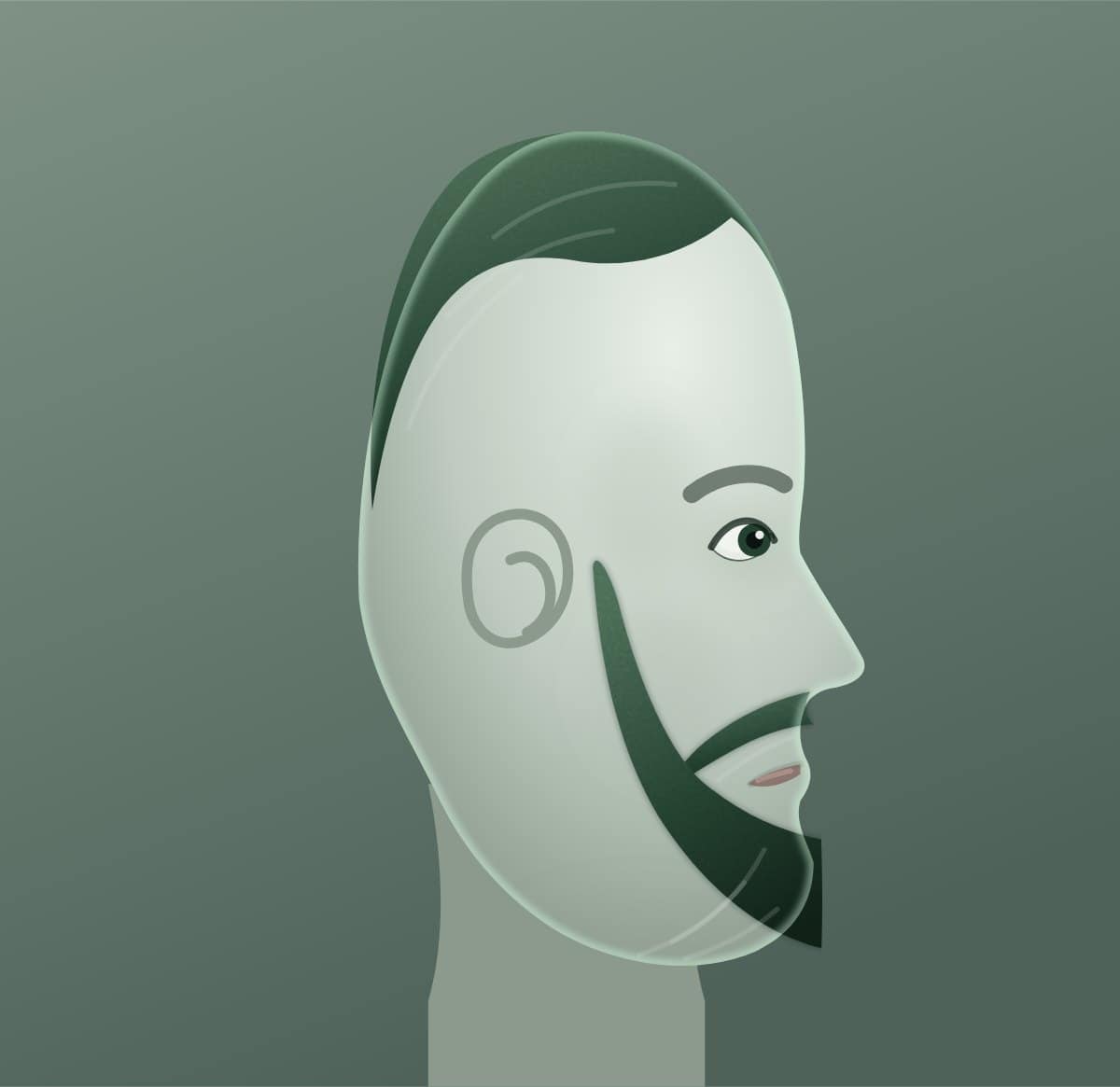 Profile diagram of the corporate beard style, showing how far it runs back toward the ear.