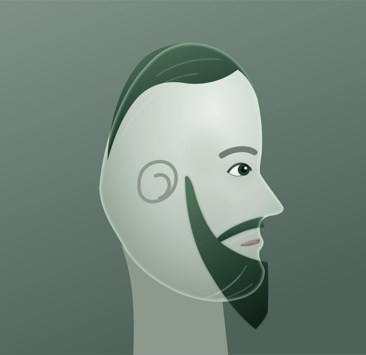 Profile diagram of the ducktail beard style, showing how far it runs back toward the ear.