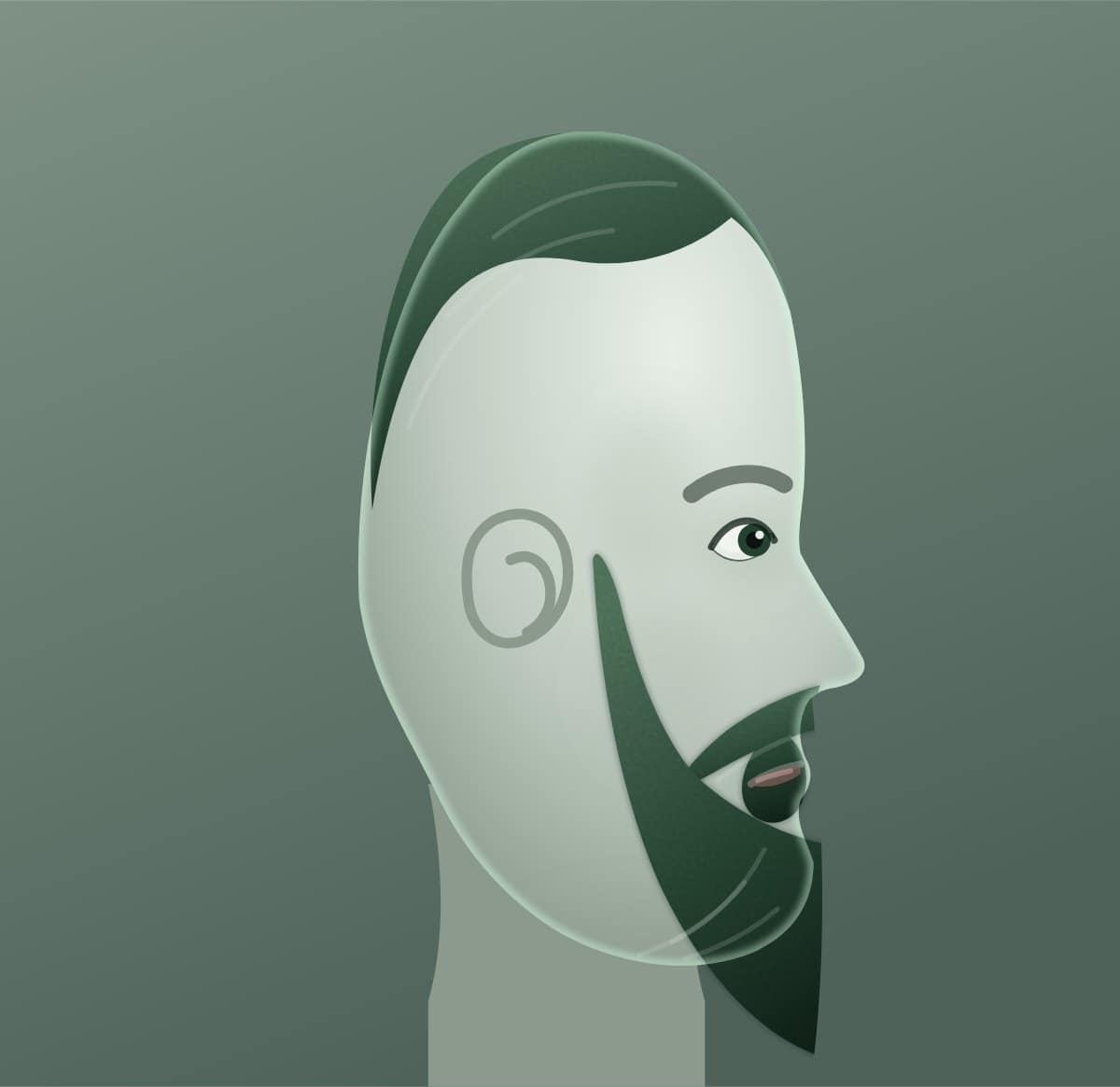 Profile diagram of the hipster beard style, showing how far it runs back toward the ear.