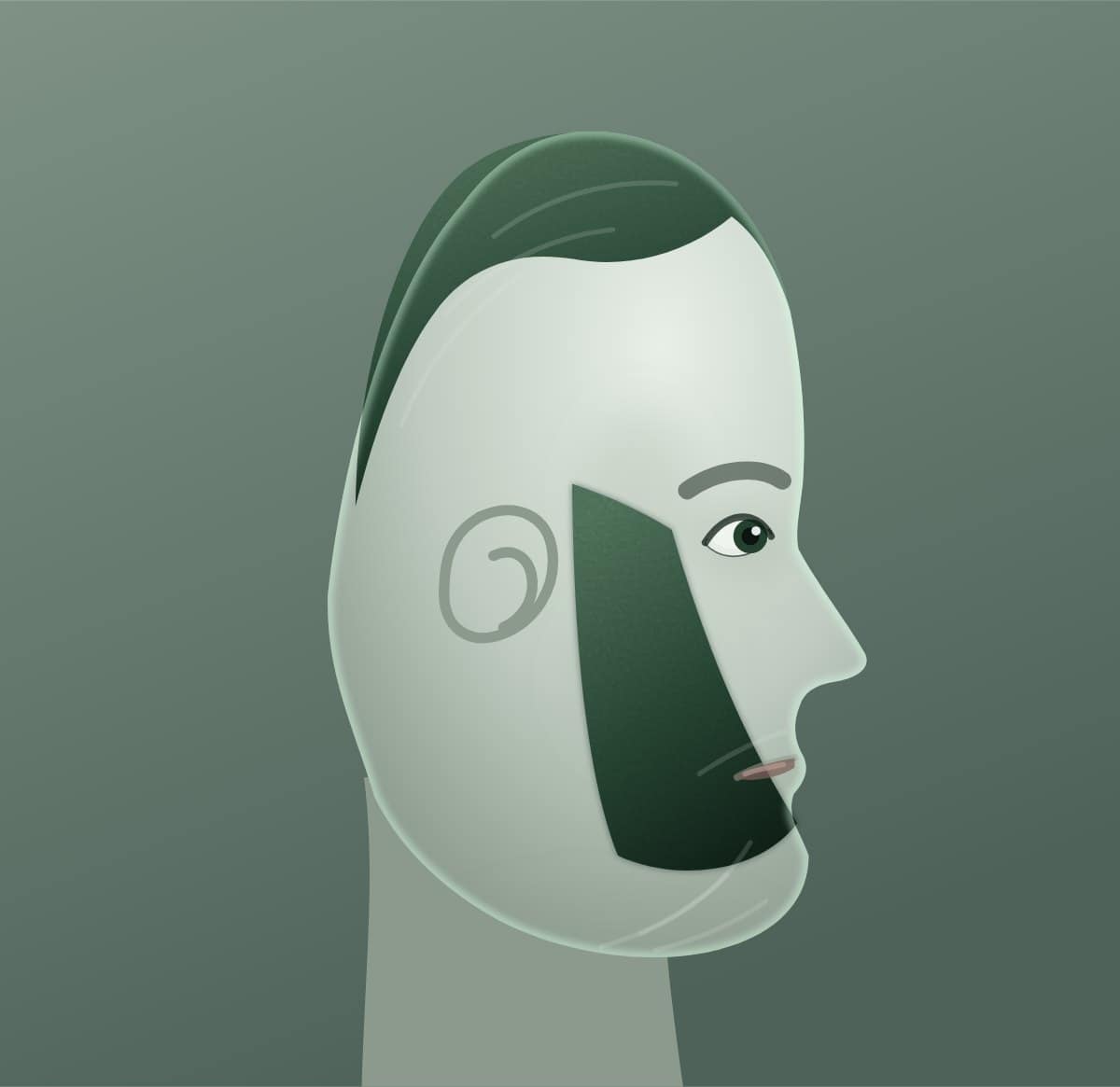 Profile diagram of the hulihee beard style, showing how far it runs back toward the ear.
