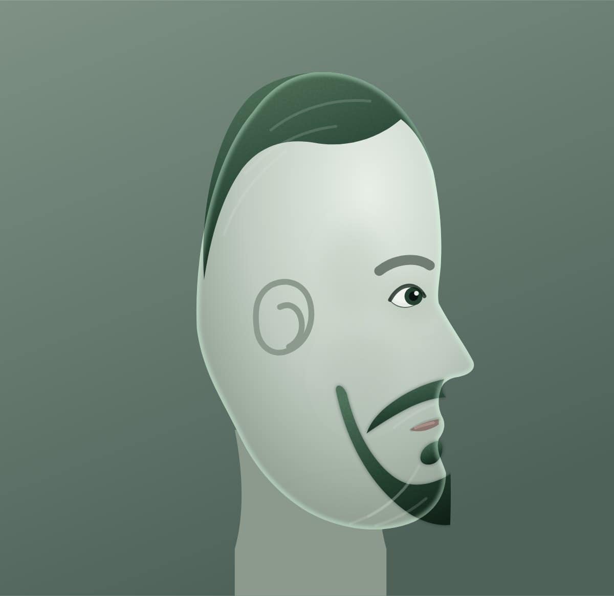 Profile diagram of the monkey tail beard style, showing how far it runs back toward the ear.