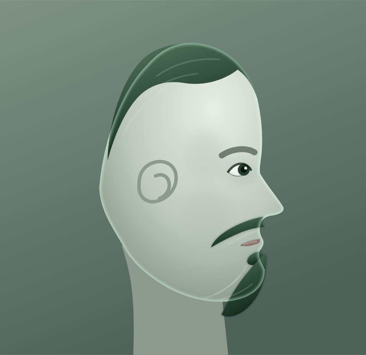 Profile diagram of the van dyke beard style, showing how far it runs back toward the ear.