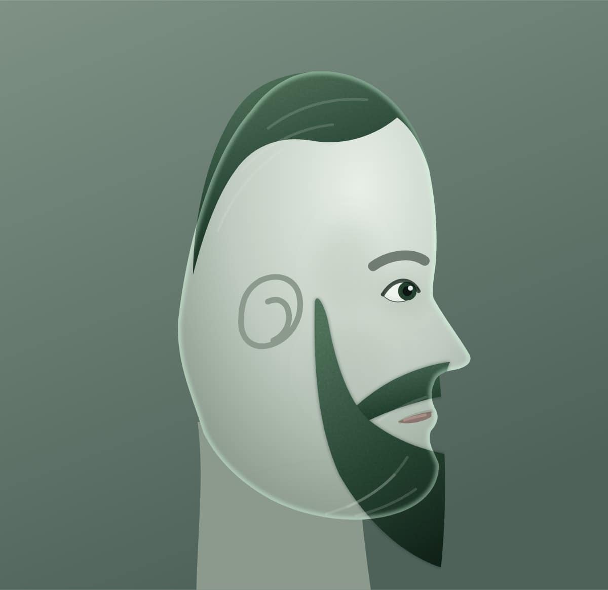 Profile diagram of the viking beard style, showing how far it runs back toward the ear.