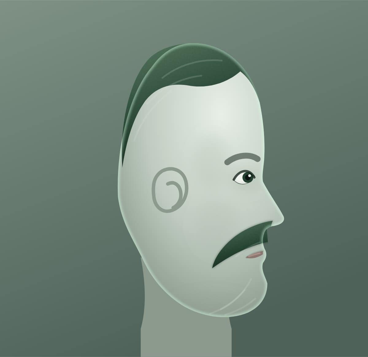 Profile diagram of the walrus moustache style, showing how far it runs back toward the ear.