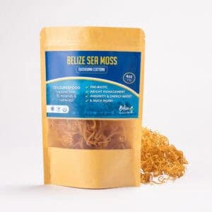 Belize Sea Moss - Eucheuma Cottonii
