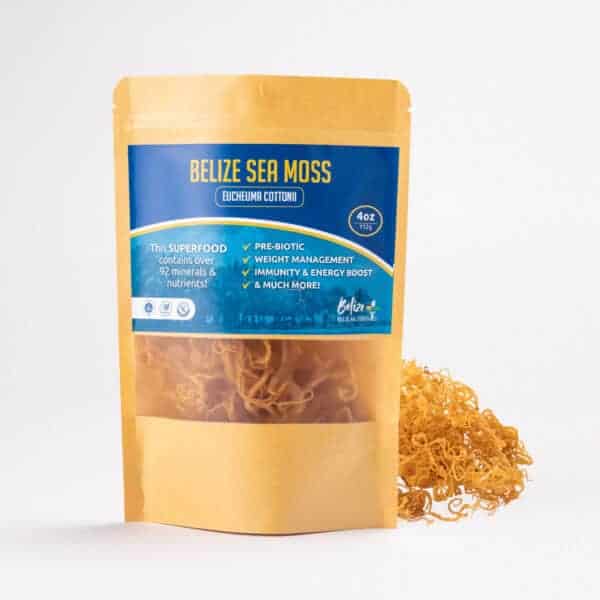 Belize Sea Moss - Eucheuma Cottonii