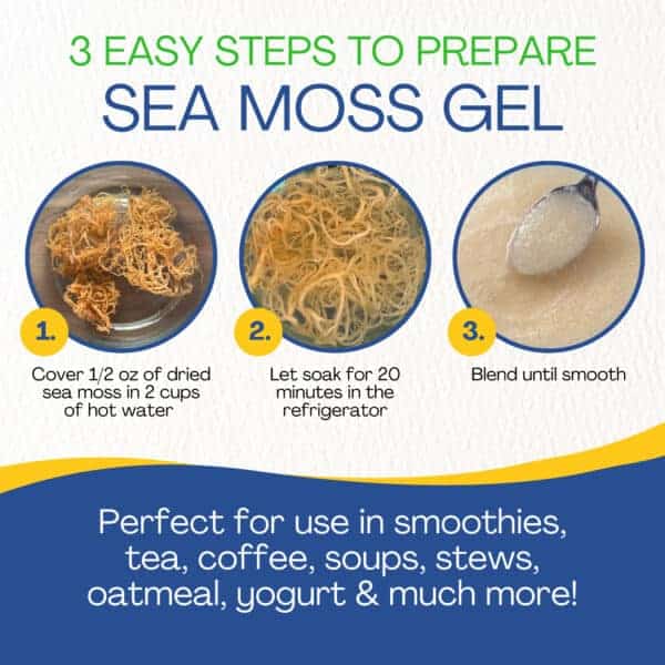 Belize Sea Moss - Eucheuma Cottonii - Image 4