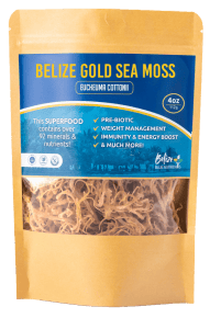 Gold Sea Moss