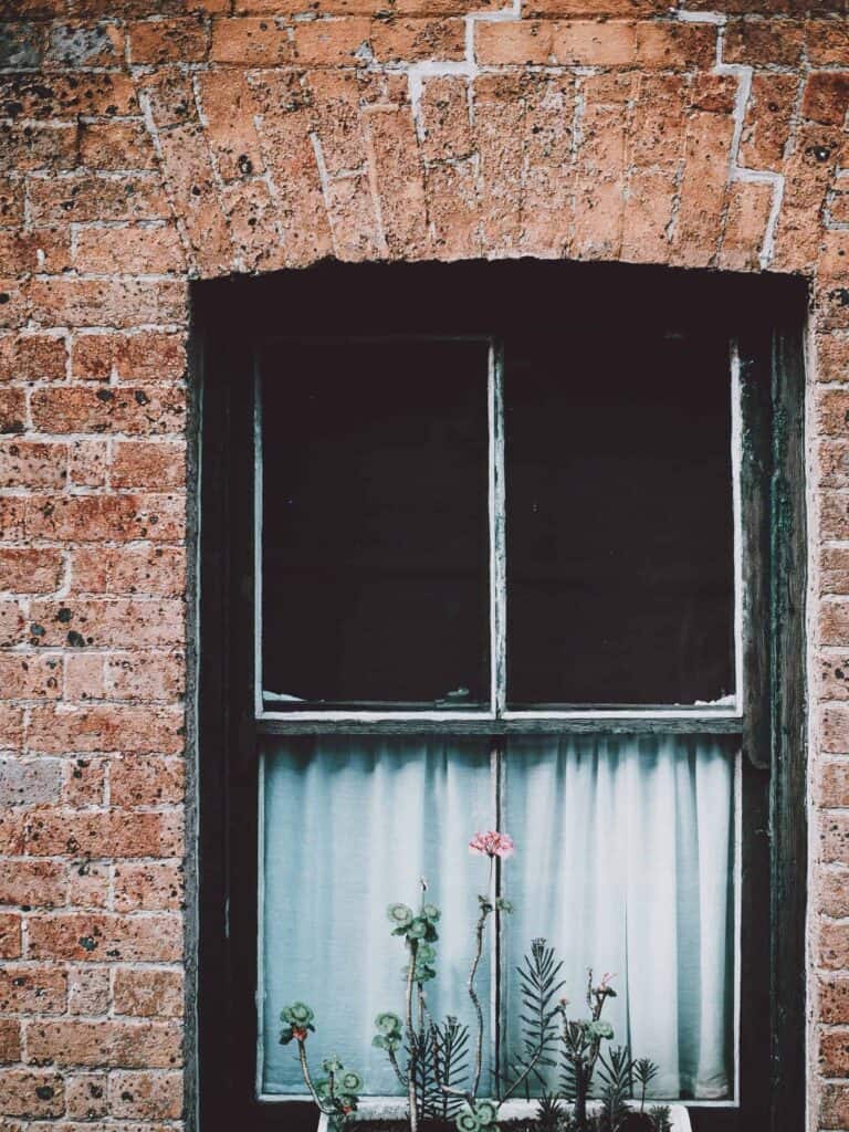A charming vintage brick wall features a wooden-framed window with a white curtain, surrounded by tall green plants. Just like this inviting scene, Bell Brothers brings reliability and comfort to homes across Northern California. With our No Surprise Guarantee, background-checked technicians, and transparent upfront pricing, you can trust us to deliver exceptional service every time—something our local communities have relied on for years.
