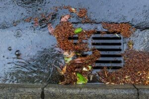 A stormwater drain is partially blocked by wet leaves and debris, with rainwater and ripples visible on the surrounding asphalt. At Bell Brothers, our background-checked technicians are known across Northern California for prompt, reliable service—always backed by our No Surprise Guarantee and upfront pricing. Trust us to help keep your home safe and clear, rain or shine.