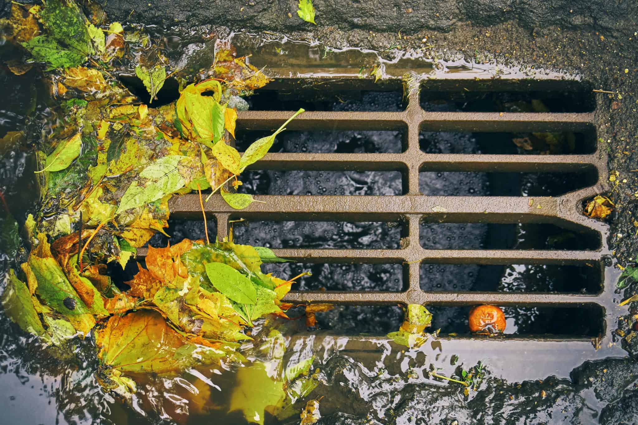 sewer and plumbing problems in winter in California