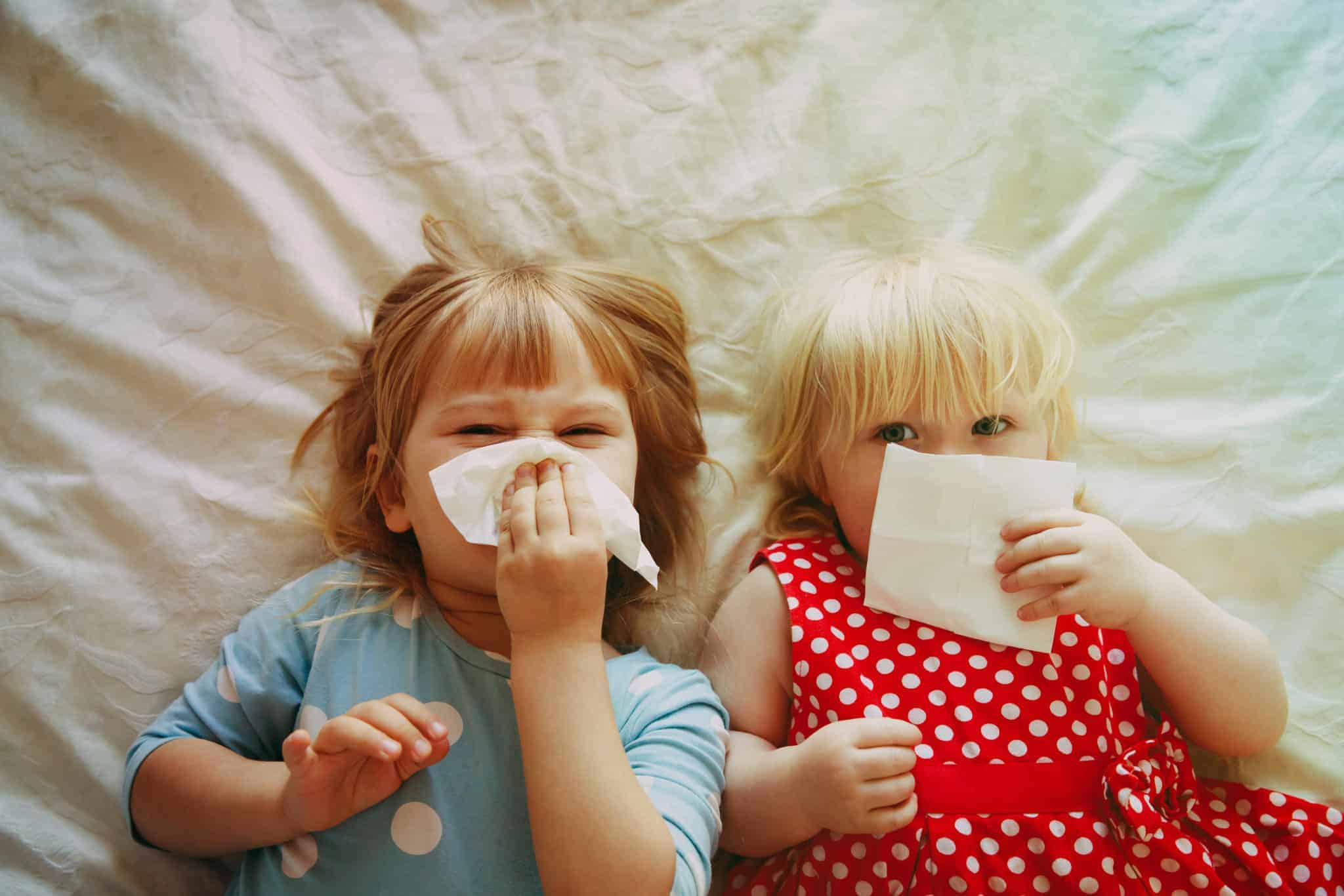 best air filters to clean mold