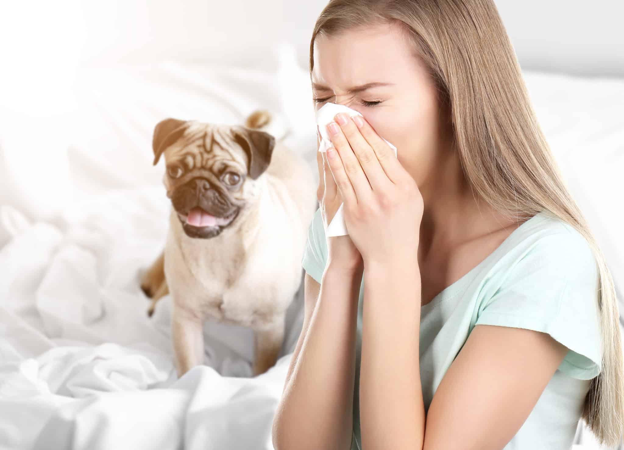 choosing the best allergy air filter 