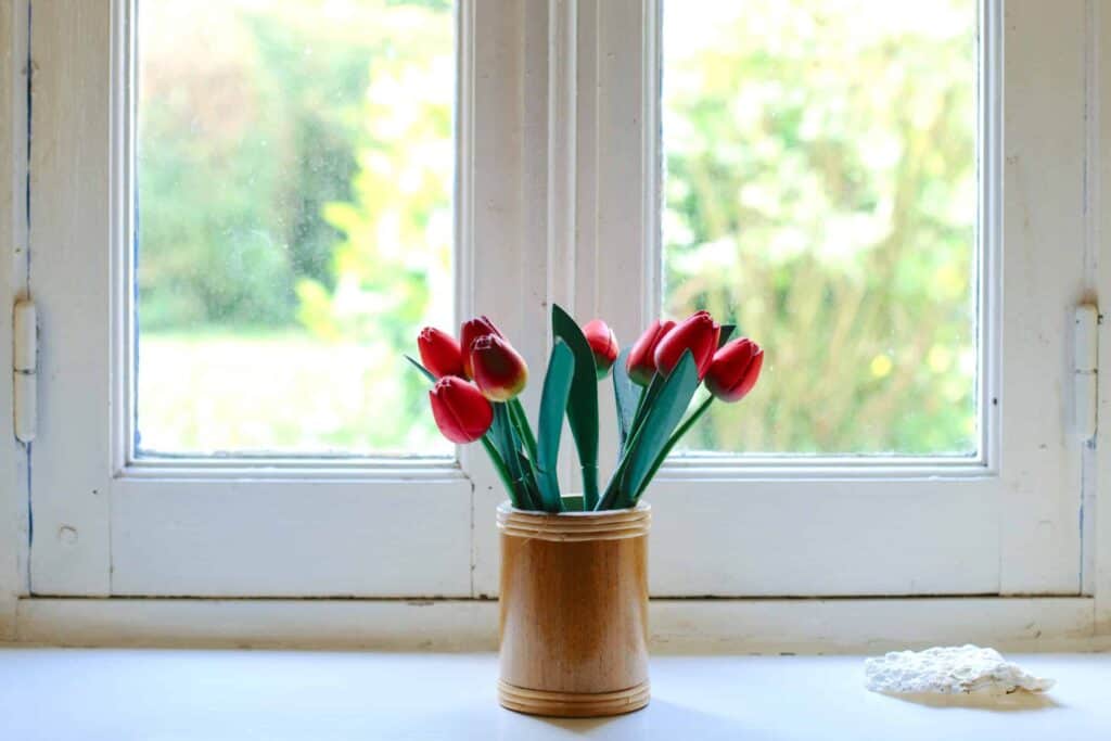 A cheerful arrangement of red tulips in a small wooden vase brightens a white windowsill, with a garden view just beyond—much like how Bell Brothers brings trusted, top-rated service to homes across Northern California. With our No Surprise Guarantee, every technician is background checked and our upfront pricing ensures you always know what to expect.