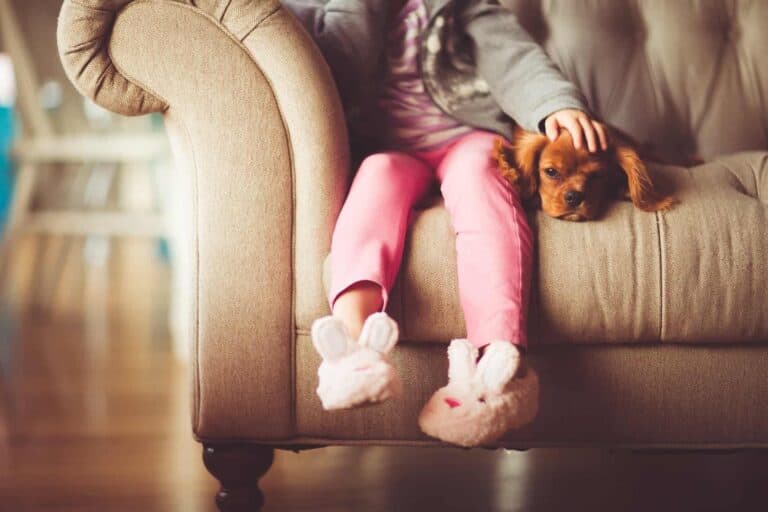 A young child in pink pants and bunny slippers sits comfortably on a beige couch, gently petting their brown puppy. With Bell Brothers’ trusted service, families across Northern California can relax, knowing our background-checked technicians deliver upfront pricing and our No Surprise Guarantee—so there are never any unexpected costs. For peace of mind and dependable service you can count on, choose the team your neighbors trust.