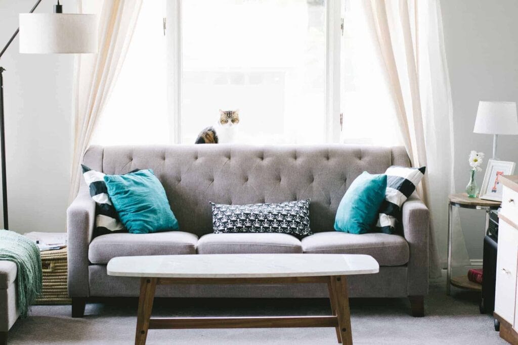 A cozy, modern living room featuring a gray sofa with teal pillows, a white coffee table, and a cat perched on the windowsill—showcasing the comfort you can count on from Bell Brothers. Our trusted, background-checked technicians serve homes across Northern California with upfront pricing and our No Surprise Guarantee, delivering peace of mind and exceptional service every time.