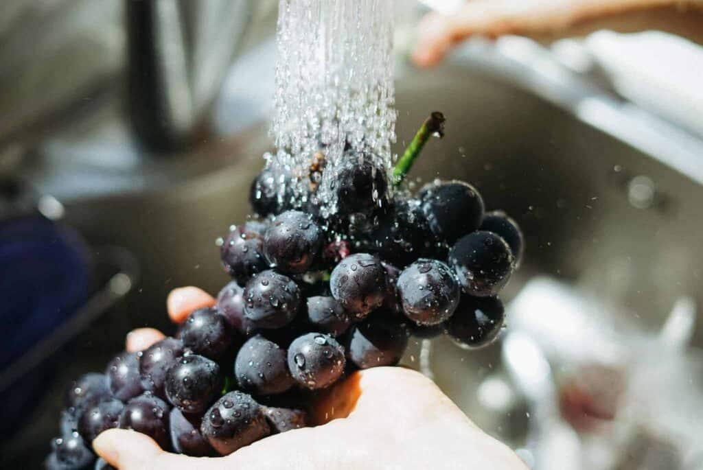 A Bell Brothers technician, representing our trusted service across Northern California, rinses a fresh bunch of grapes under running water in a clean kitchen sink. Our background-checked professionals always ensure your home is treated with care. With our No Surprise Guarantee and upfront pricing, you can count on Bell Brothers for honest, reliable service every time.
