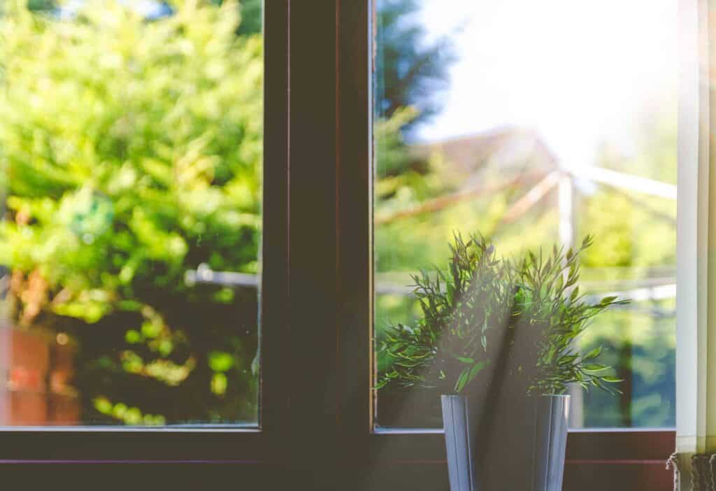 A vibrant potted plant sits on a sunny windowsill, with lush green trees visible outside—creating a warm, welcoming atmosphere, just like the trusted service Bell Brothers brings to homes across Northern California. With our No Surprise Guarantee, background-checked technicians, and honest upfront pricing, you can enjoy peace of mind knowing your comfort is in expert hands.