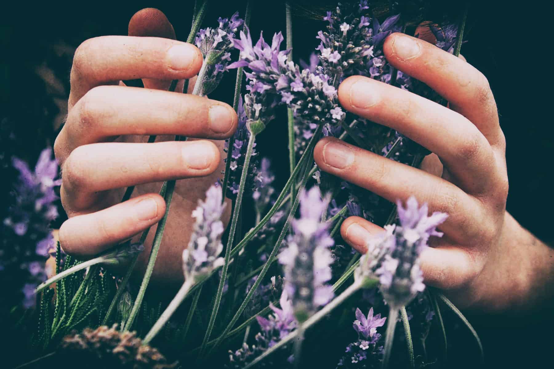 spring allergy tips for Recue, CA