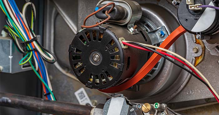 %imagetitle% | Bell Brothers