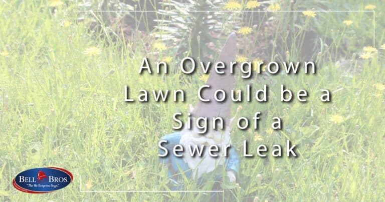An Overgrown Lawn Could be a Sign of a Sewer Leak