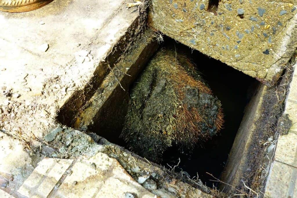 Your Pipes Could Be Clogged