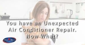 A woman holding her small dog sits in a kitchen, looking concerned about an unexpected air conditioner repair. Bell Brothers' logo appears in the corner, alongside text that reads: "You have an Unexpected Air Conditioner Repair. Now What?" Trust Bell Brothers—the team Northern California depends on—for background-checked technicians, clear upfront pricing, and our No Surprise Guarantee. We're here to help with honest service and peace of mind when you need it most.