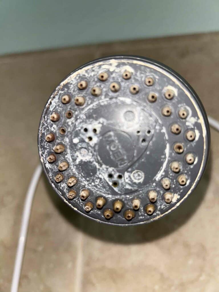 Close-up of a showerhead with limescale buildup, reminding you Bell Brothers offers trusted water filter installation with no surprises.