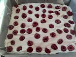 Mrożone maliny na budyniowej piance