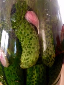 Przetwory z ogórków