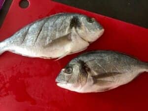 Ryba na szybki obiad