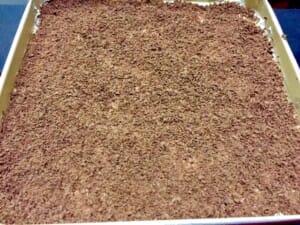 Tarta czekolada dekoruje Karmelowiec