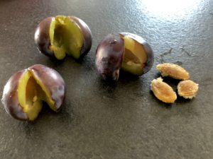 Knedle ze śliwkami - D38E7E92 D994 4E96 B258 CE8AE413E26F