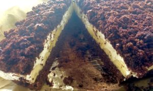 Kopiec kreta na dużą blachę - 11269F72 E968 4341 91B2 38CEFC3396AF