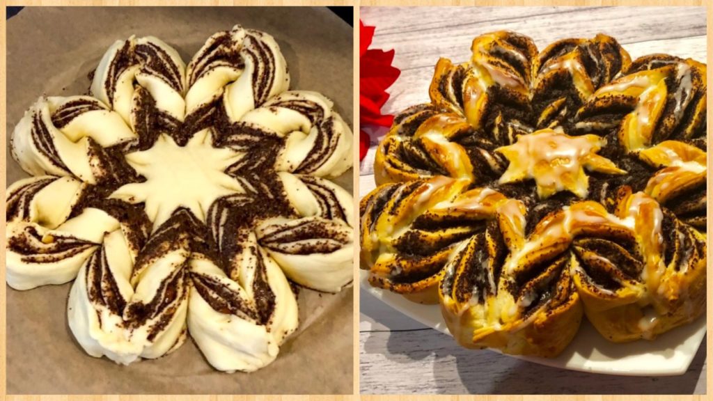 Makowa gwiazda świąteczna