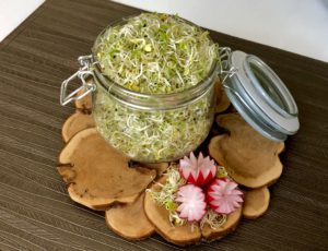 Domowe kiełki ze słoika - F480923B 430F 4551 893B A246A0610210