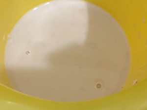 rozczyn drożdżowy do pączków na piwie