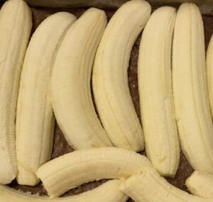 Układanie bananów na biszkopcie pod ciasto z bananami