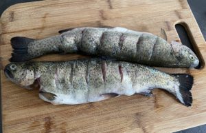 Świeży pstrąg przygotowany do pieczenia