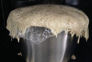 wyrośnięte ciasto drożdżowe