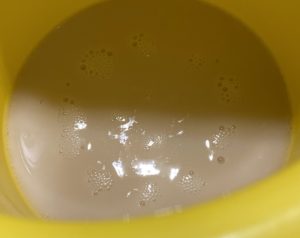 Przepis na makowiec na Wielkanoc krok po kroku – rozczyn drożdżowy